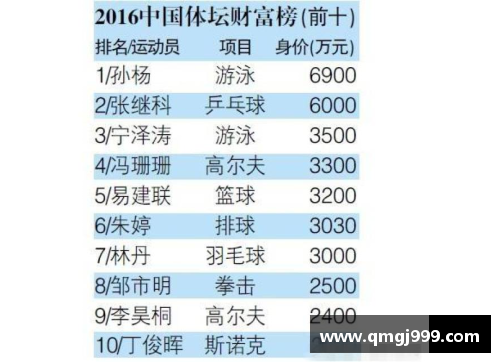 体育明星的界定标准：从能力、影响力到公众形象的综合考量